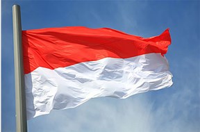 印度尼西亚发明专利申请流程介绍