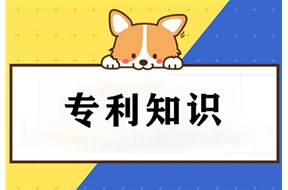 什么样的专利申请会被判定为低质量申请？